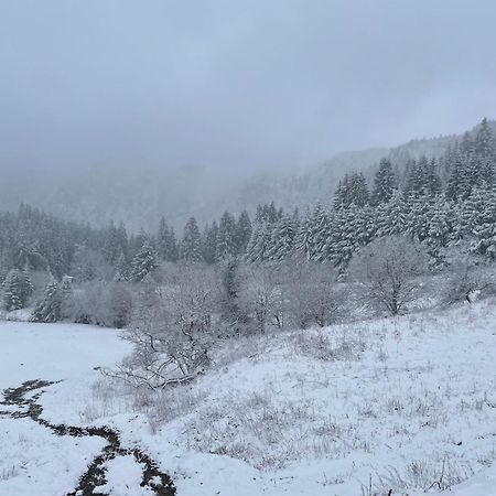 Appartement - Au Coeur Du Lac Blanc Orbey Exteriör bild