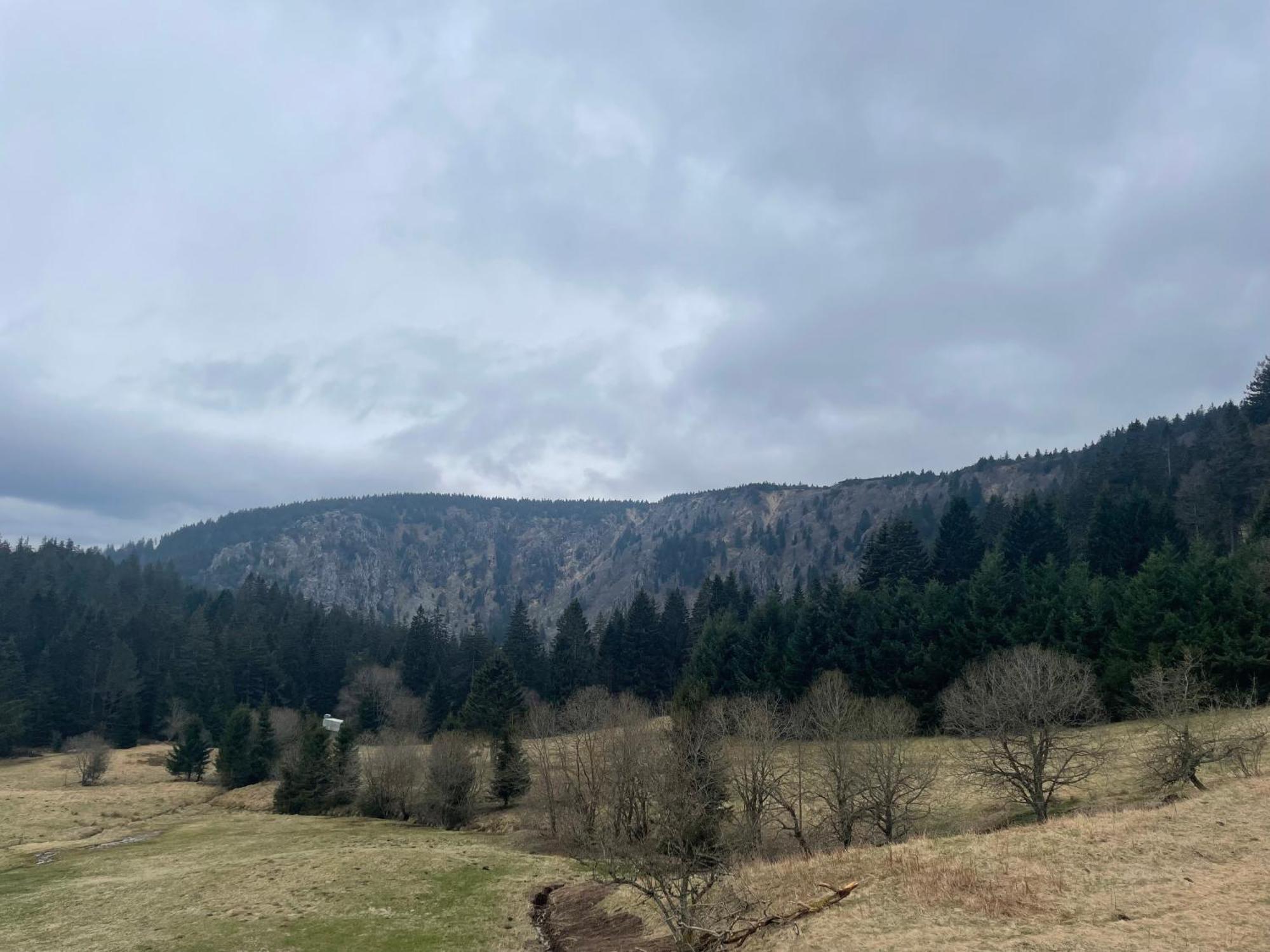 Appartement - Au Coeur Du Lac Blanc Orbey Exteriör bild